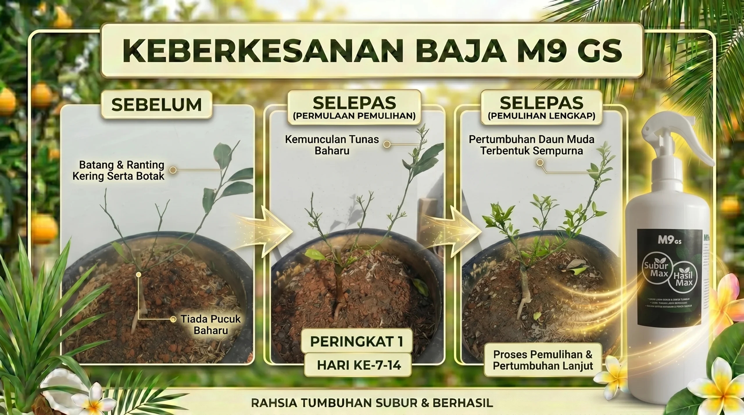 Selepas Penggunaan M9 GS