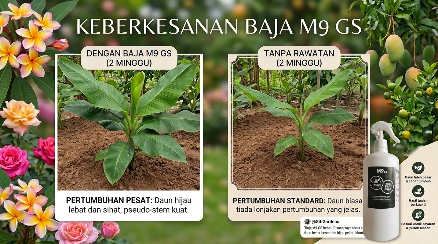 Selepas Penggunaan M9 GS
