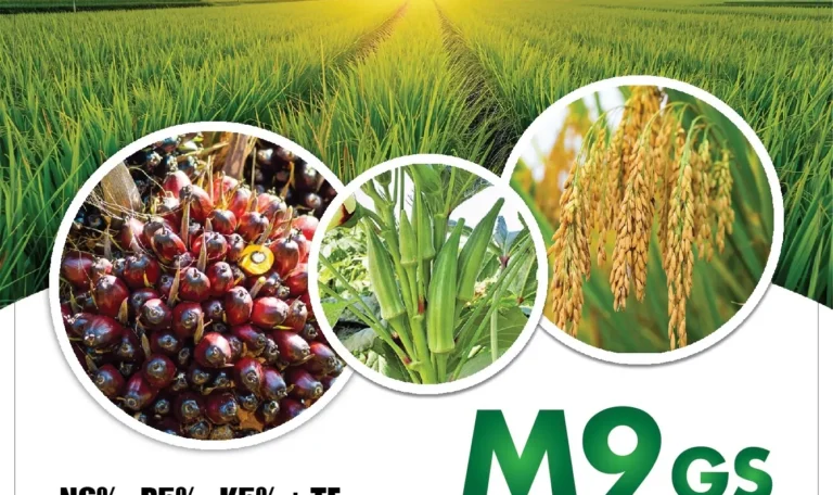 M9 GS - Baja Biostimulan Premium Untuk Kelapa Sawit, Buah-Buahan dan Sayuran
